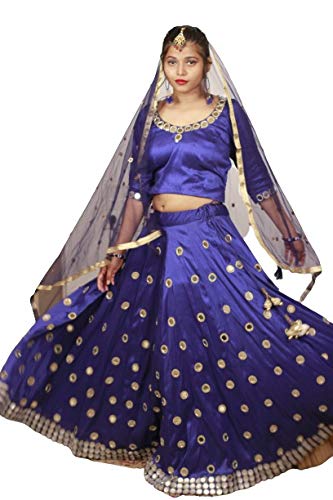Designer Blouse and Lehenga style long Skirt with Mirror work