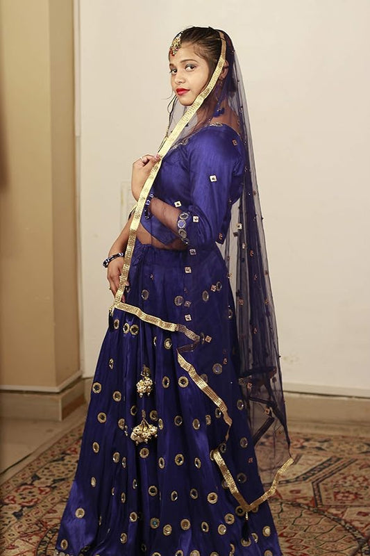 Designer Blouse and Lehenga style long Skirt with Mirror work