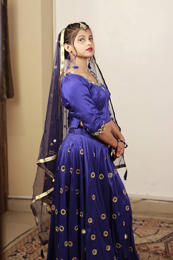 Designer Blouse and Lehenga style long Skirt with Mirror work